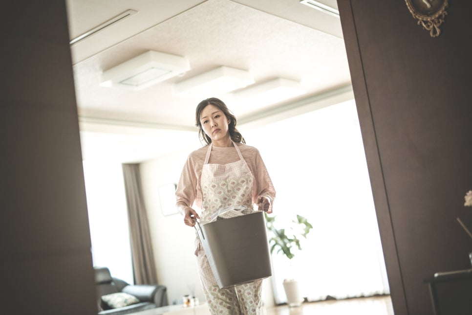 청소바라기 이미지
