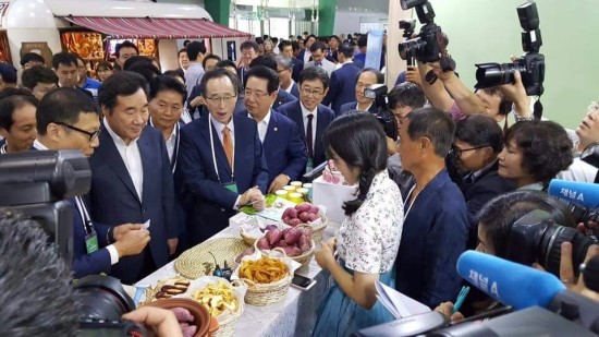 강보람고구마 이미지