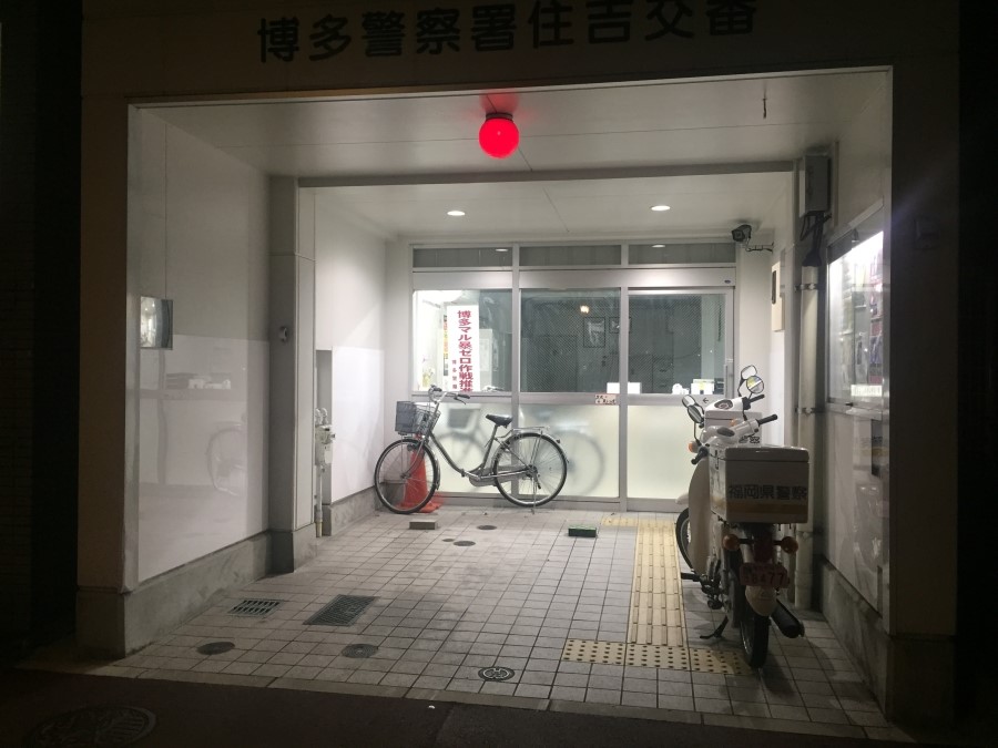 나라파출 이미지