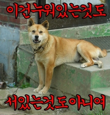 신월동곱창 이미지