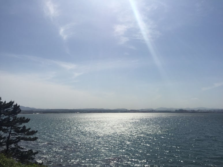 포항 