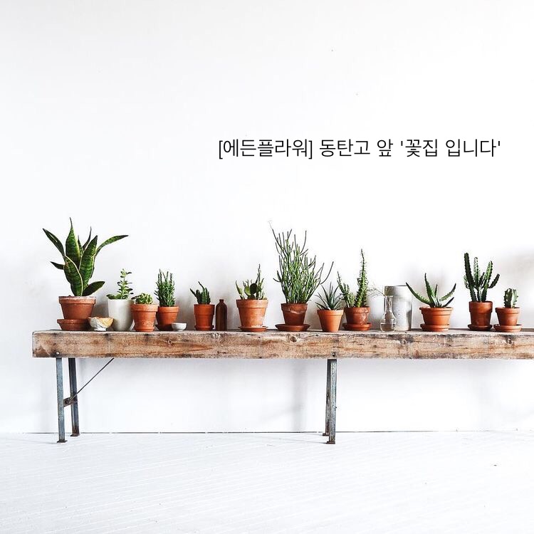 에든플라워 이미지