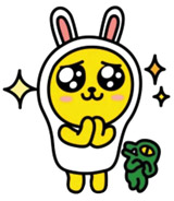 짐앤줌바 이미지