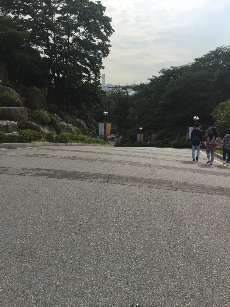 애플맥시스 이미지