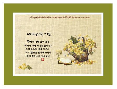 (주)야베스 이미지