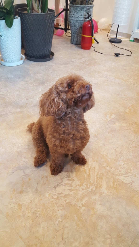 리쿠카페 이미지