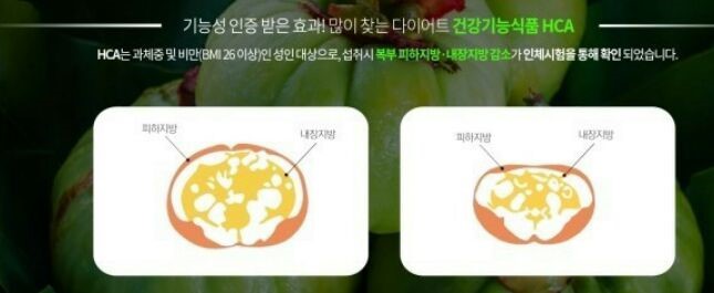 해피클린 이미지