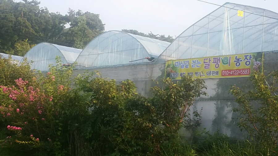 마실길 걷는 달팽이 농장 이미지