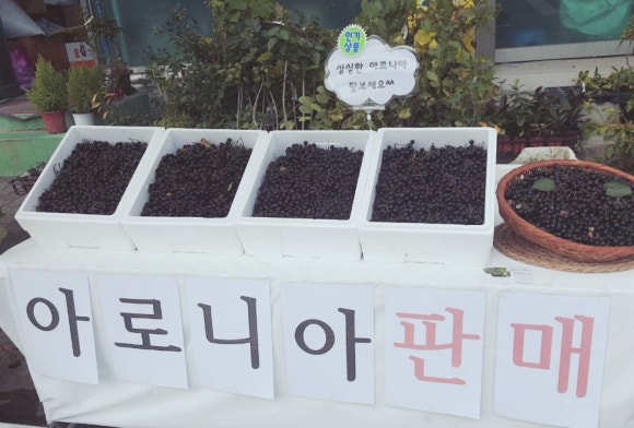 영재농원 이미지