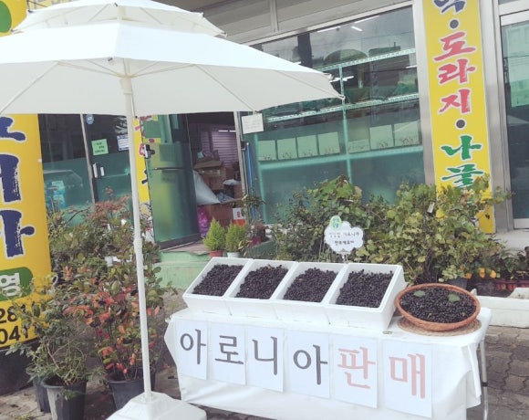 영재농원 이미지