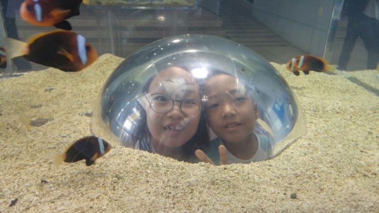 비진도수산 이미지