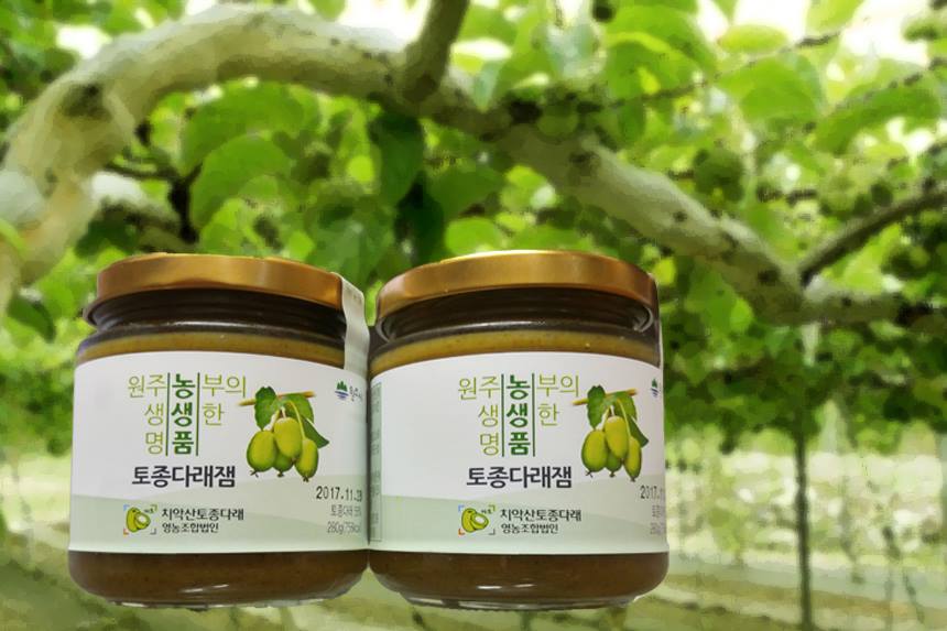 다래팜핑 이미지