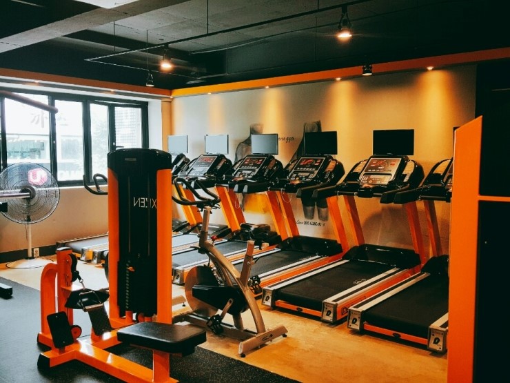 스파르타짐 이미지