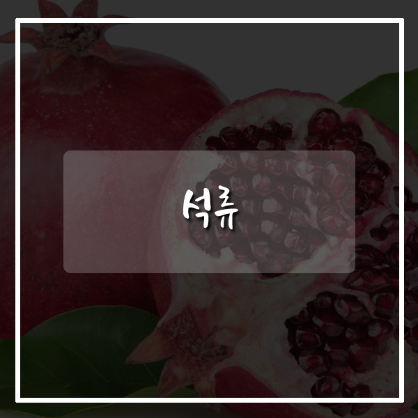 브니엘푸드 이미지
