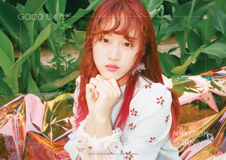 굿데이(goodday) 이미지