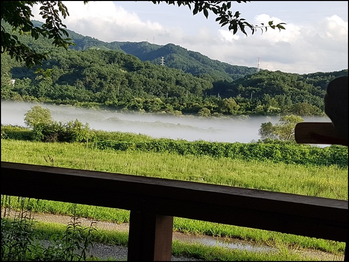 예쁜여우 이미지