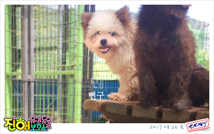 나래쏠라 이미지