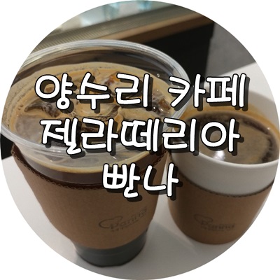 젤라떼리아빤나 이미지