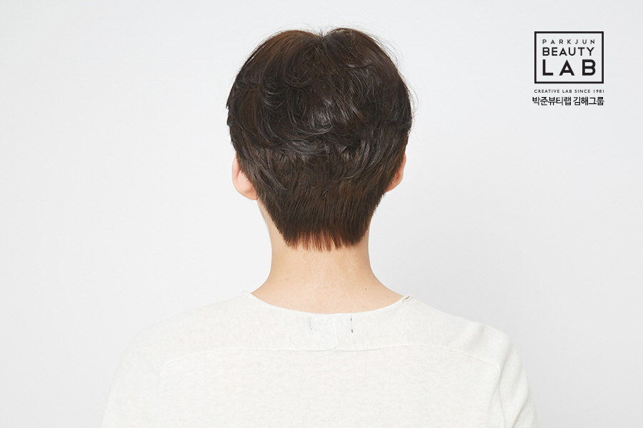 피엔제이주 이미지