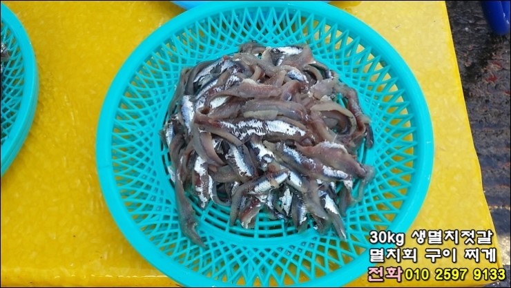 기장멸치수산 이미지