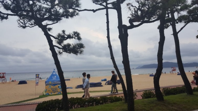 비비큐부산 이미지