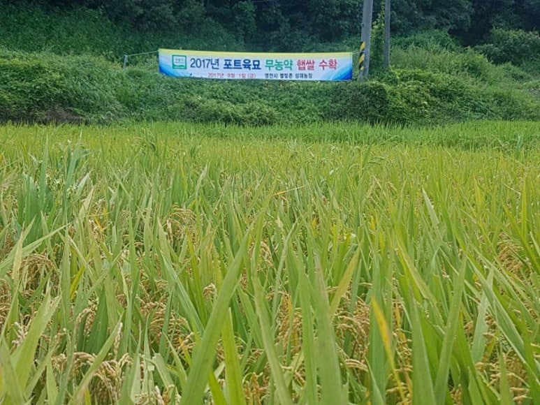 성재농원 이미지