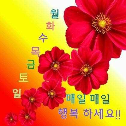 행복8 이미지