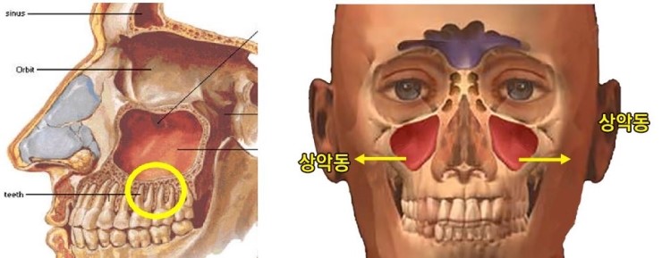 연세이웃치과 이미지