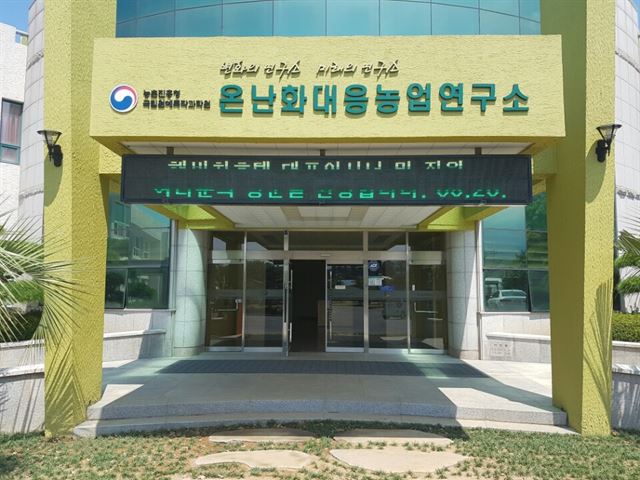 과일야채이야기 이미지