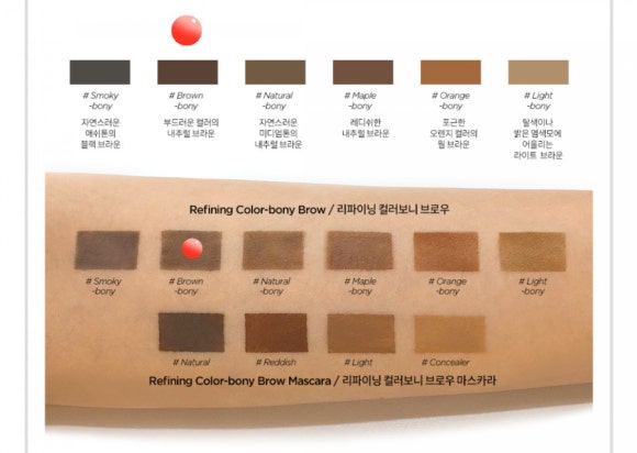 브라운보니 이미지