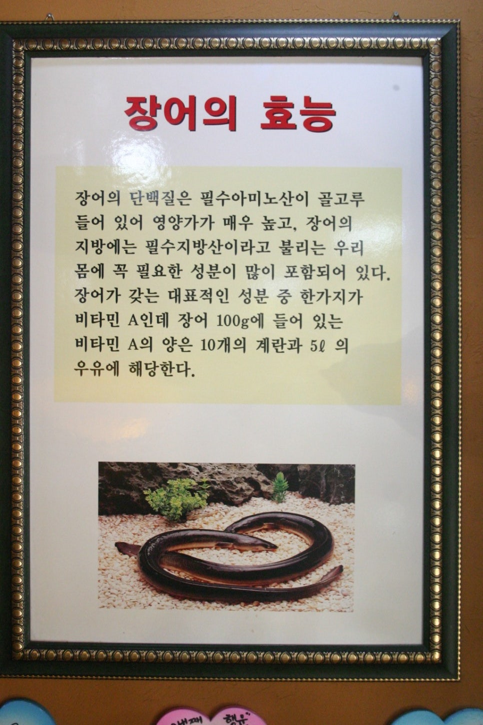 기동이네풍천장어 이미지