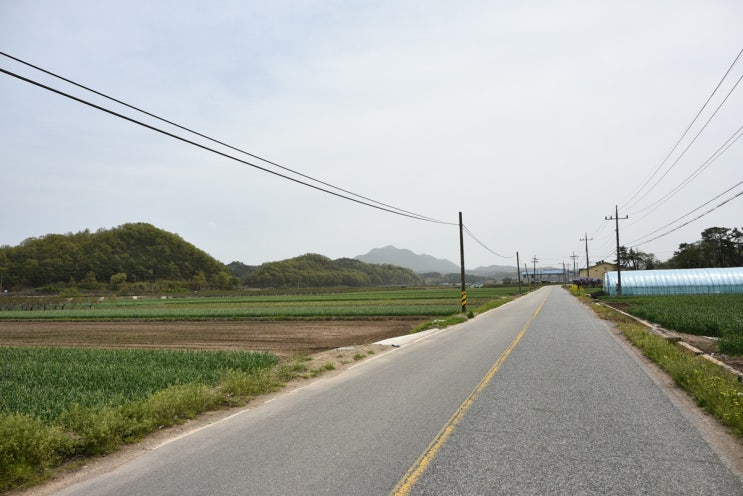 우보투어 이미지