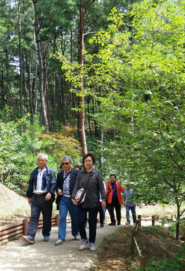 신우여행사 이미지
