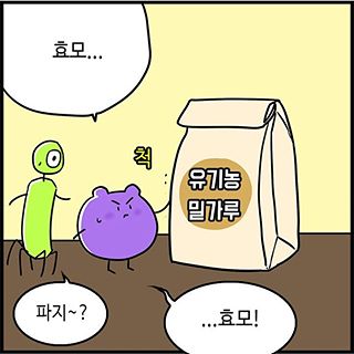 삼진여행 이미지