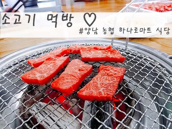 양남농협하나로마트 이미지