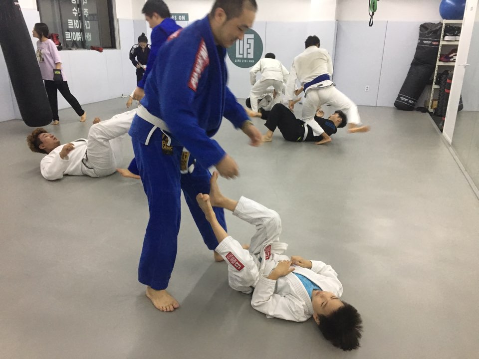라이프짐MMA 이미지