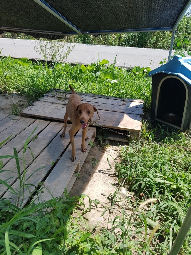 목단표고농원 이미지