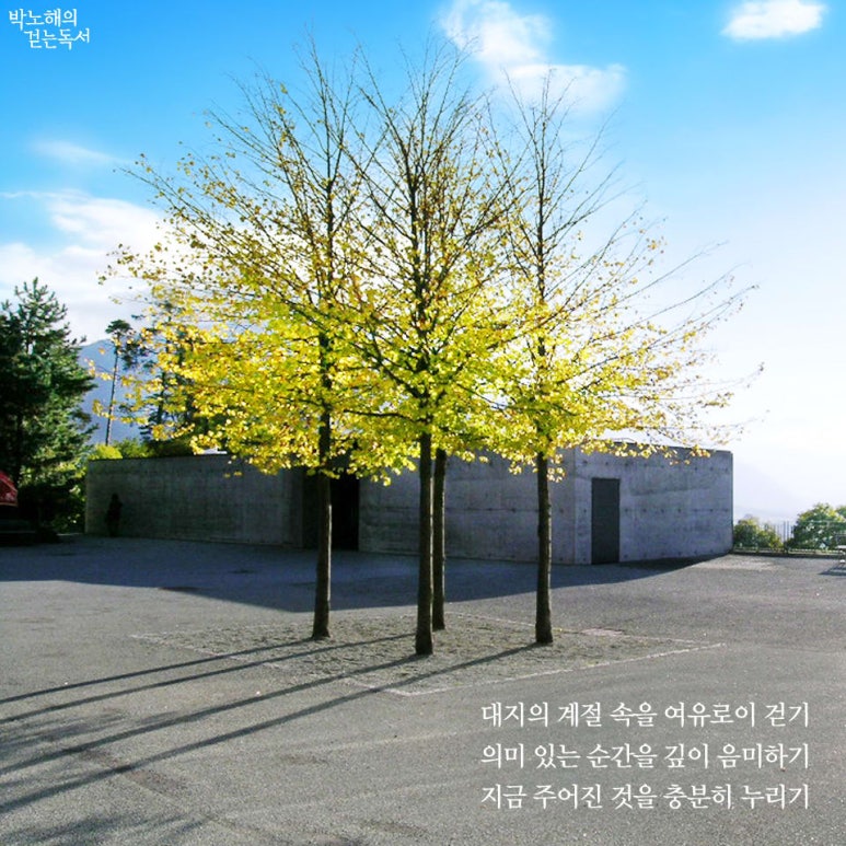 여유로이 이미지