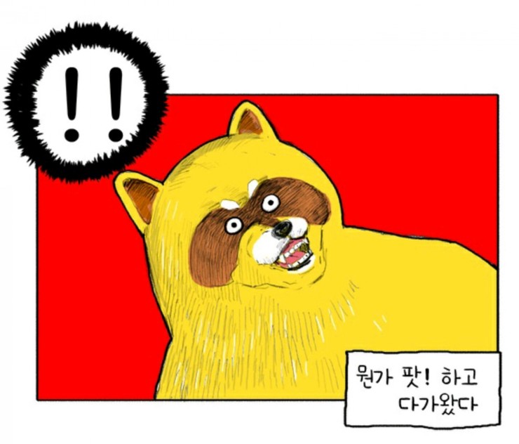 애플헤어샵 이미지