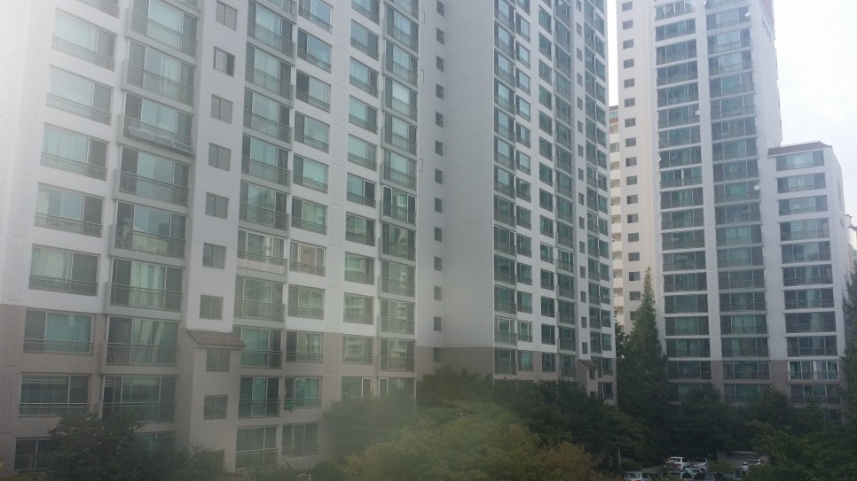 안충모부동산컨설팅 이미지