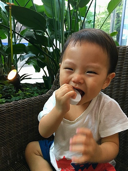 디케이라이프 이미지