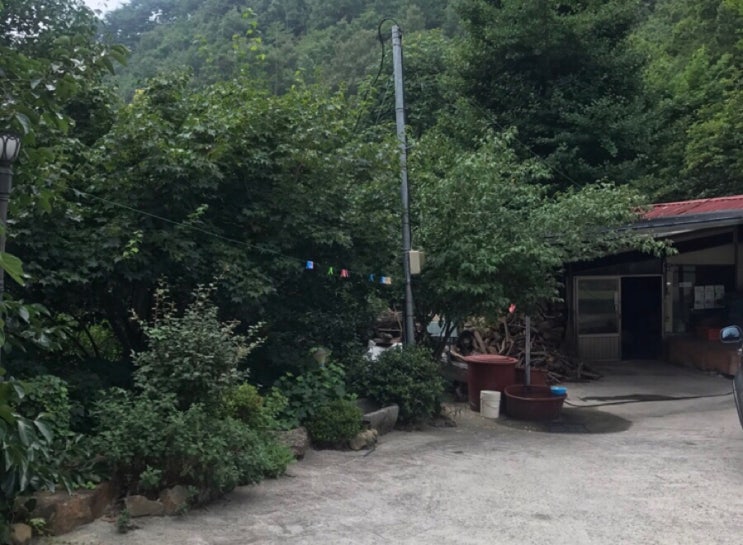 구례흑염소 이미지