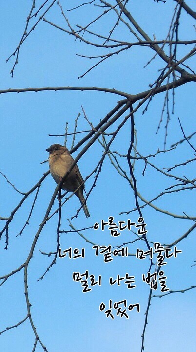이자리에 이미지