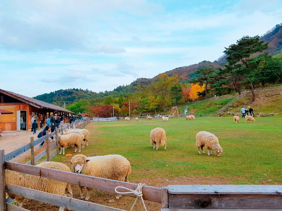 해밀여행 이미지