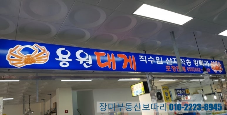 용원회센타 이미지