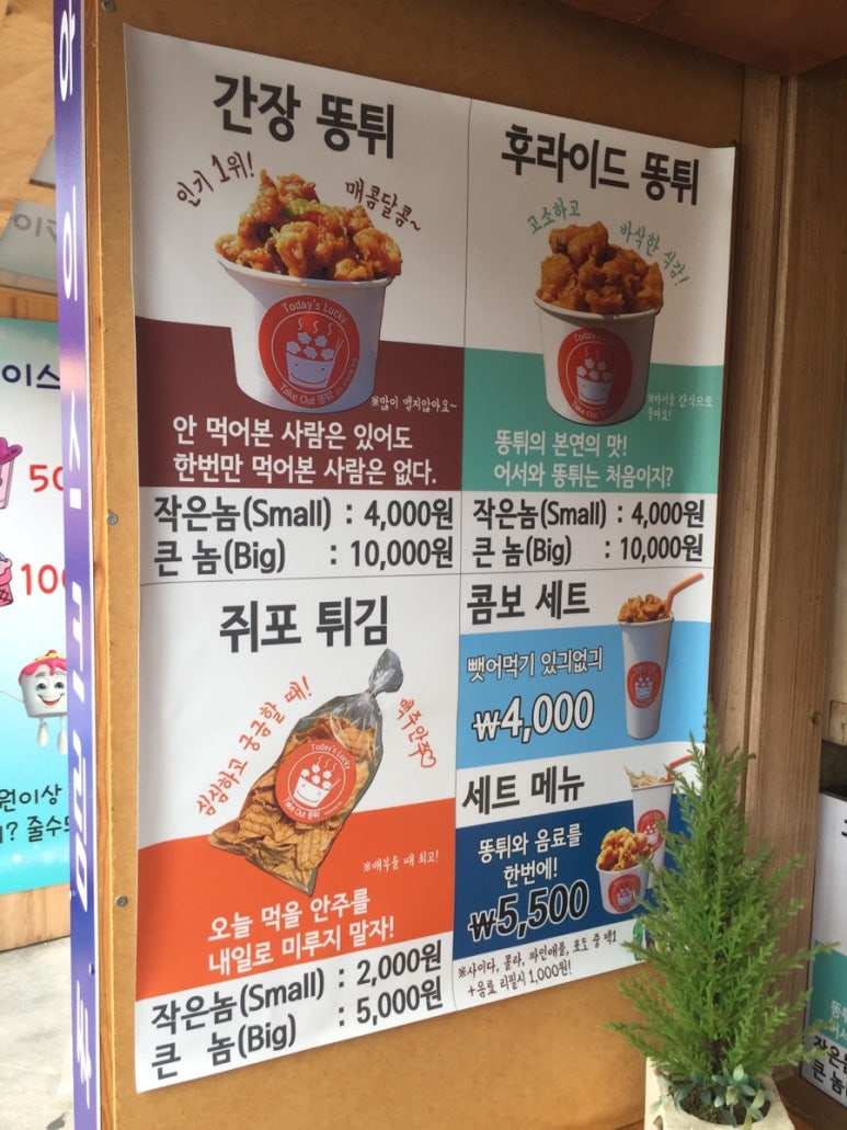 바퀴타는쿠마 이미지