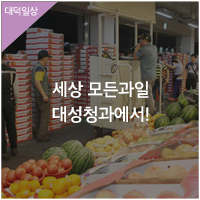 대덕청과 이미지