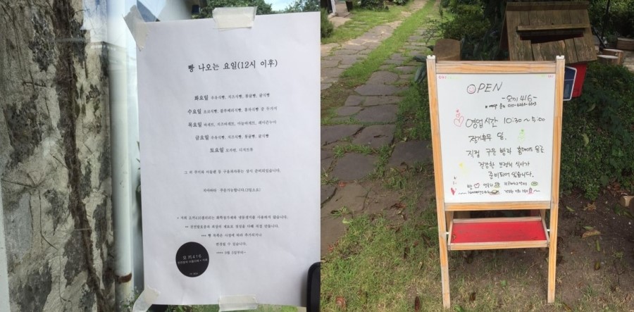 오끼416갤러리 이미지