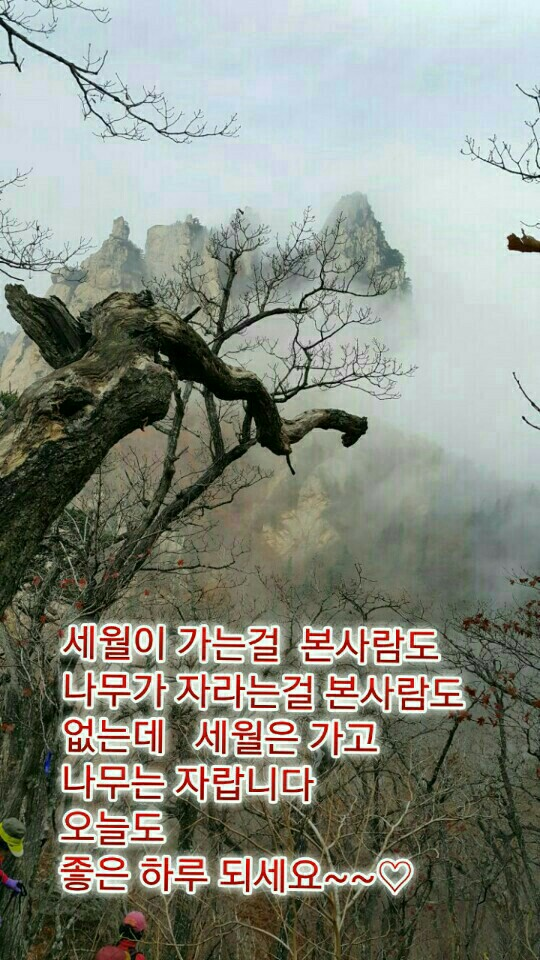 감이오네 이미지