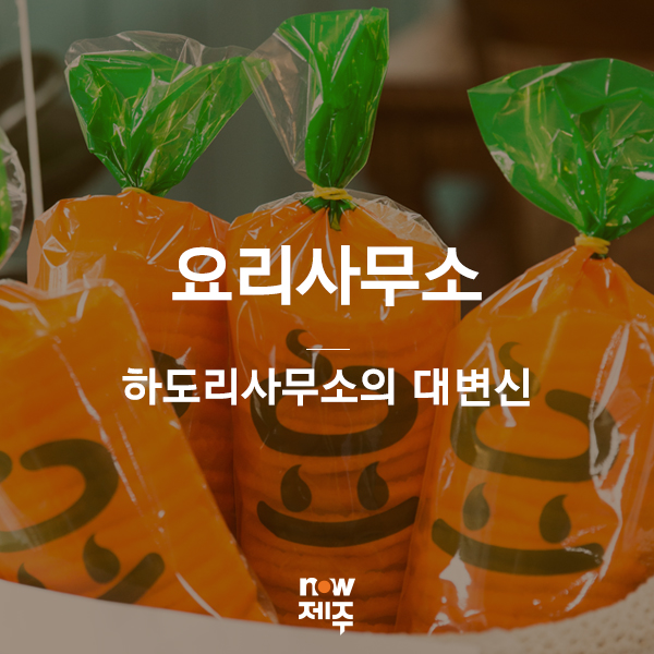 제주마을소도리문화연구소 이미지